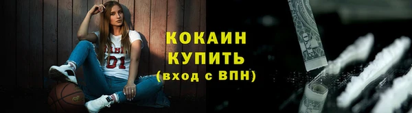 сатива Магас