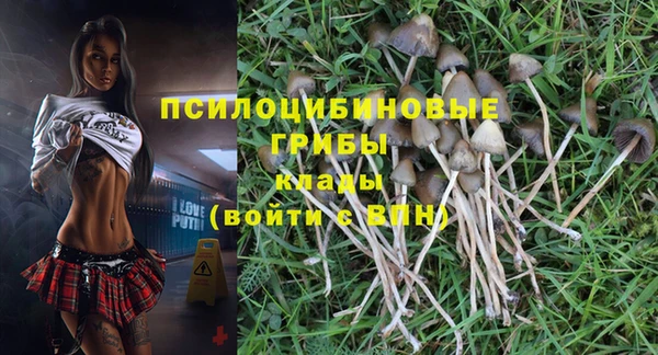 молекула духа Абаза