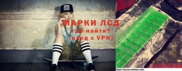 индика Медногорск