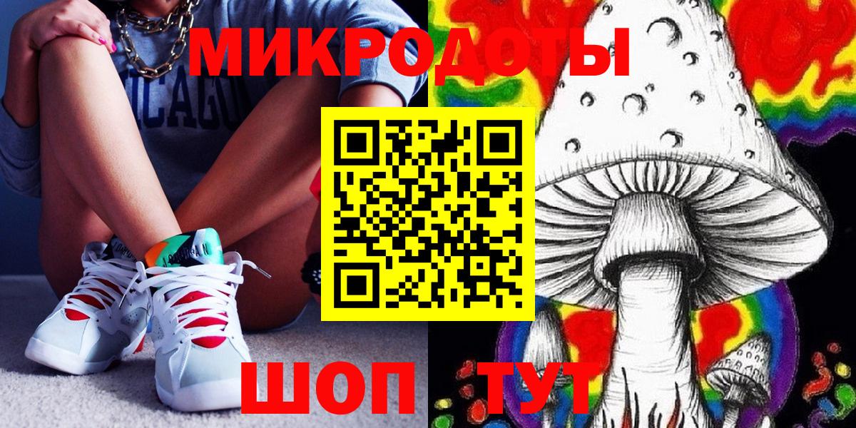 Псилоцибиновые грибы Psilocybe Челябинск