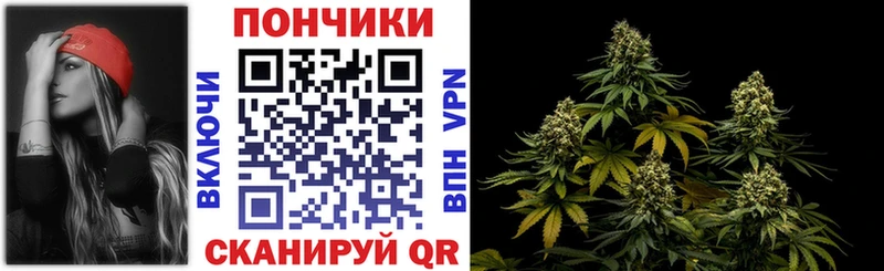 Шишки марихуана конопля  где купить   Челябинск 